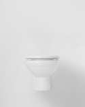 Classic Toilet Wall Mounted White (2)